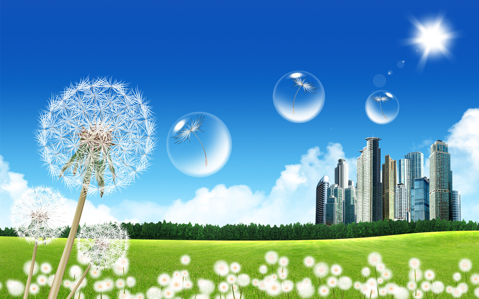 Blue skies and green grass